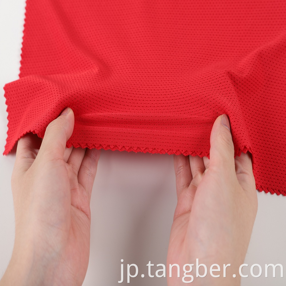 Jacquard Mesh Fabric